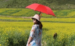 风啸天楚馨月小说叫什么名字